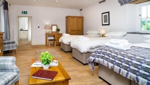 Room - Cardigan Castle (Cardigan)