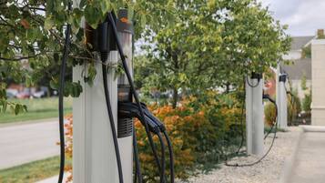 Una fila de estaciones de carga para vehículos eléctricos, con cables conectados, frente a un fondo de árboles y una carretera.