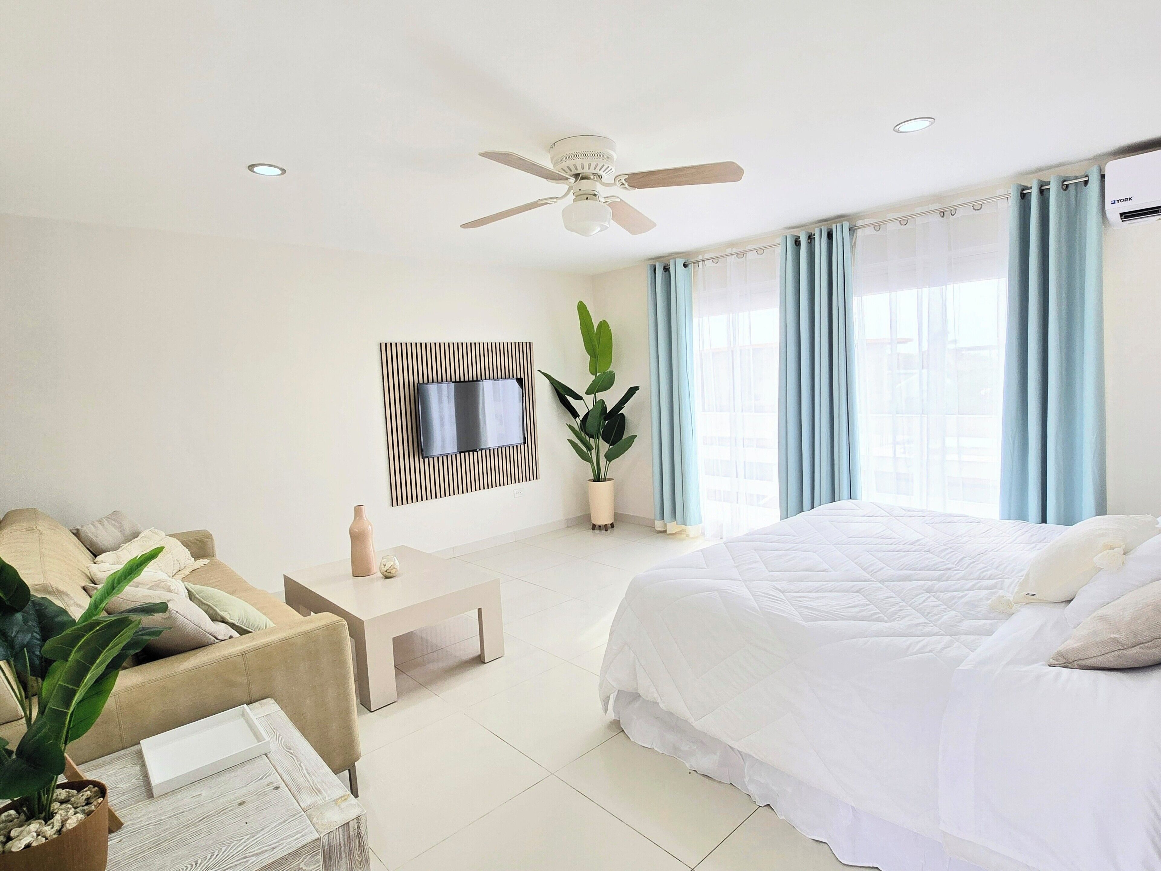 Une chambre d’hôtel moderne avec un grand lit, un téléviseur à écran plat fixé sur un panneau en bois, un ventilateur de plafond et une plante en pot.
