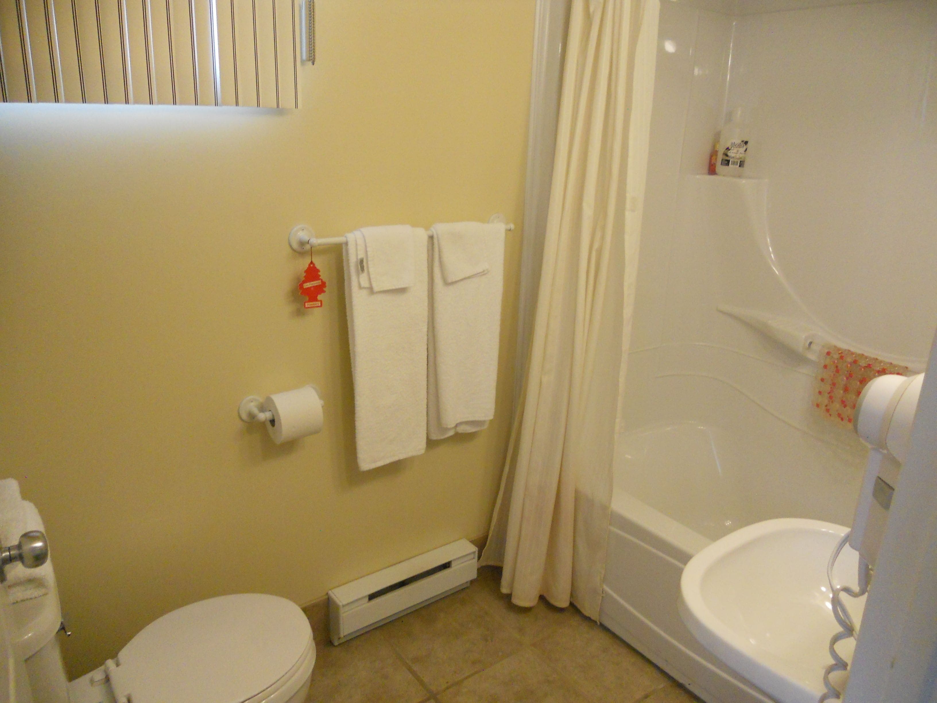 Une salle de bain avec des toilettes, une douche et un lavabo. Deux serviettes sont accrochées au mur.