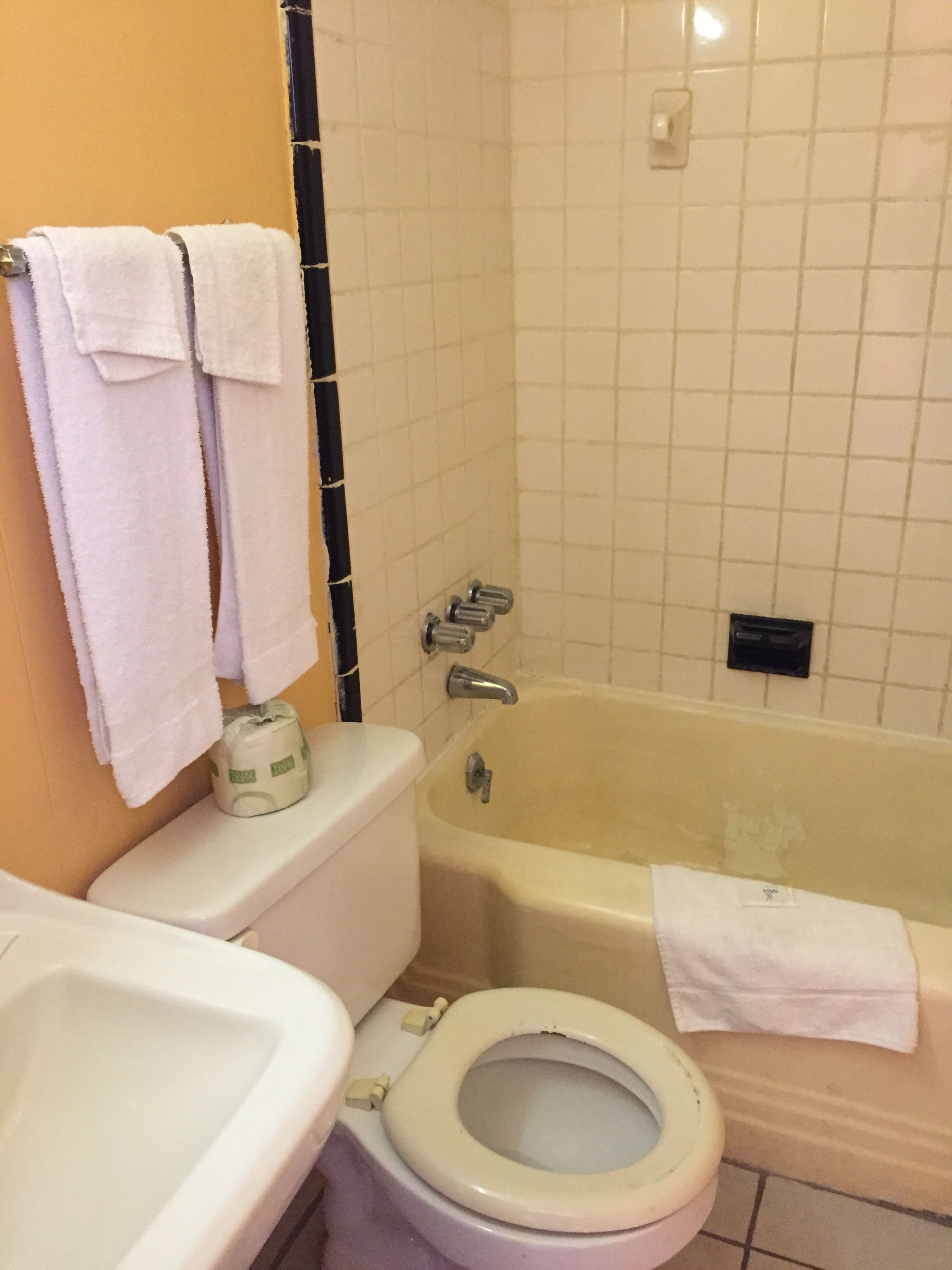 Combined shower/bathtub