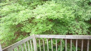 A wooden deck with a railing, surrounded by dense green foliage. - Chapel Hill InnTown (Chapel Hill)