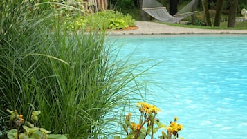 Seasonal outdoor pool, open 10:00 AM to 8:00 PM, pool loungers