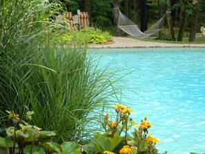 A pool surrounded by lush greenery and a hammock.