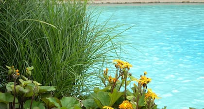L'Oasis de l'Ăle, Refuge Urbain
