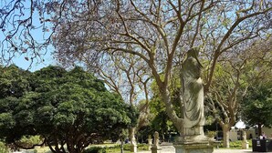 A statue in a park with surrounding greenery and trees. - Da Agnese Locazioni brevi (Cagliari)