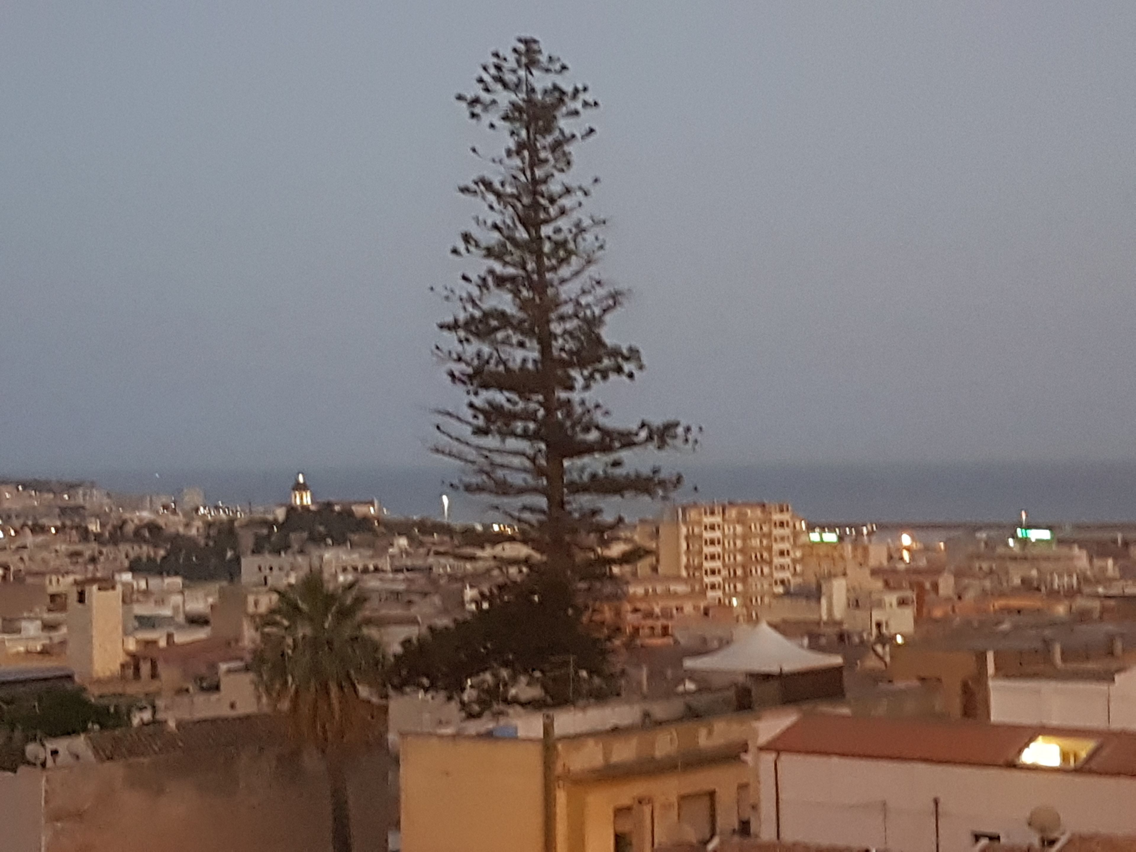 Foto - Da Agnese Locazioni brevi