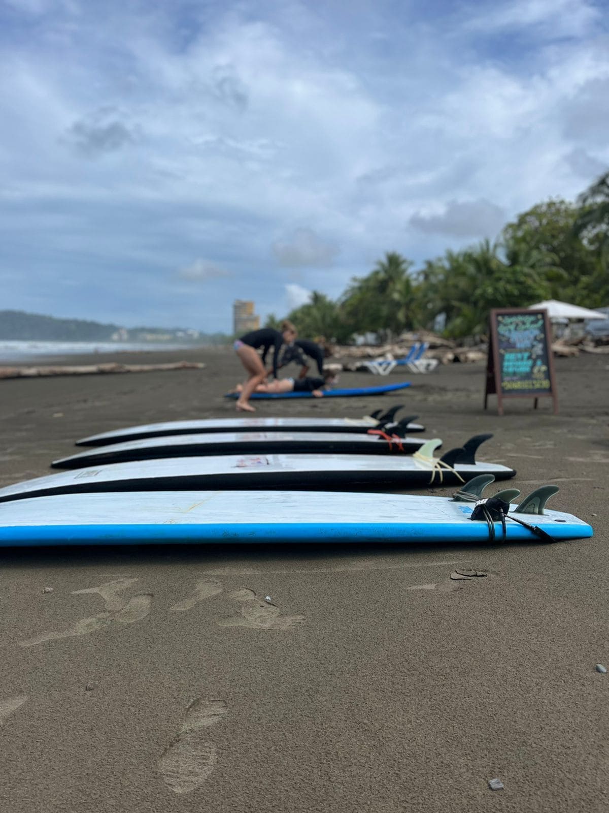 A row of surfboards on a sandy beach with a signboard in the background.