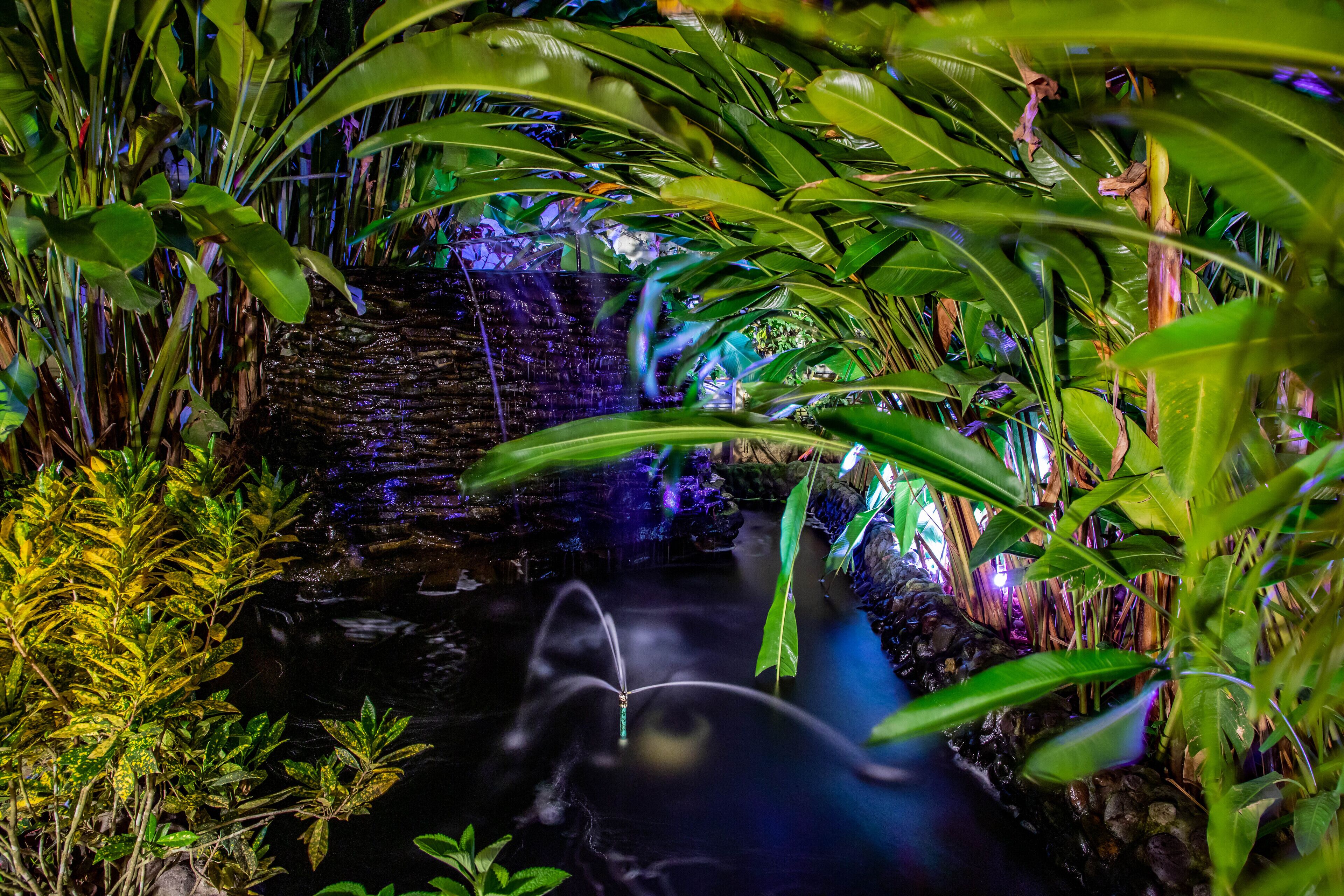 double room, 2 double beds, garden view, garden area | garden view