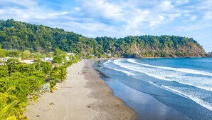 A beach with a curved shoreline, palm trees, and a forested hill in the background. - Hotel South Beach (Jacó)