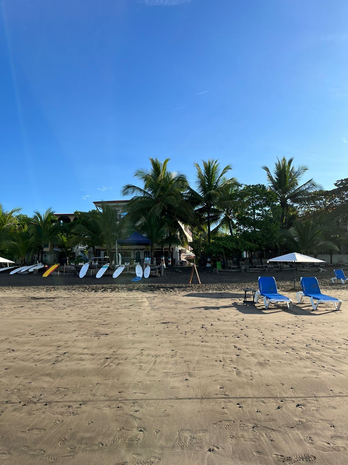 A beach with blue lounge chairs, a building with a blue roof, and palm trees.