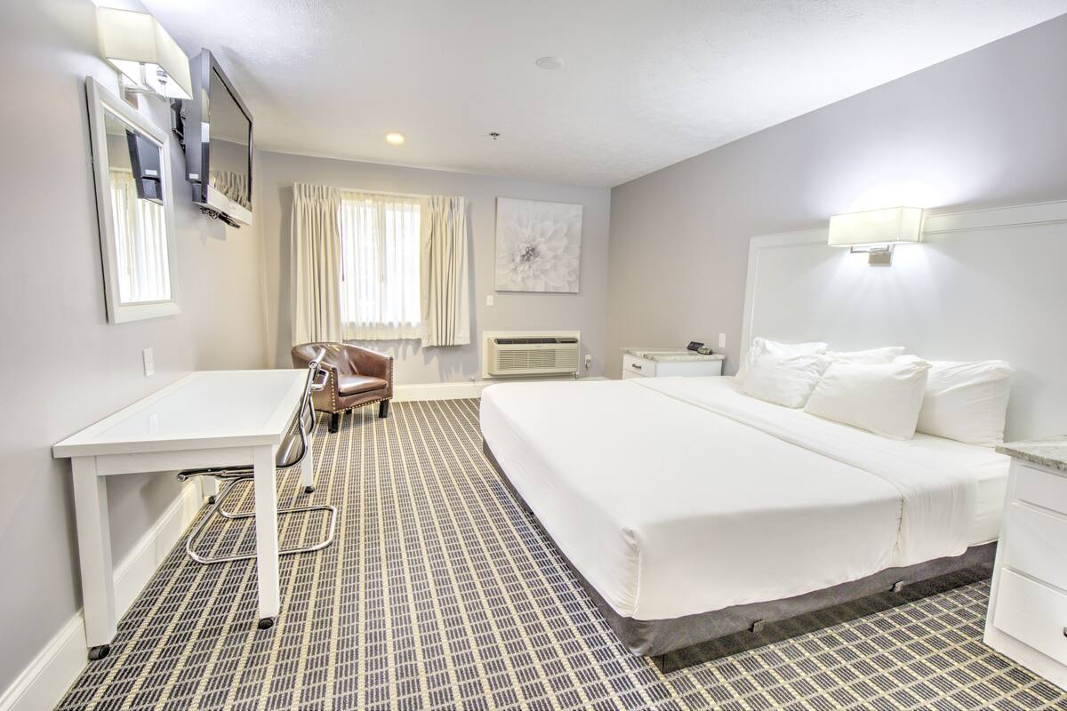A hotel room with a bed, a desk, a chair, a lamp, and a window with curtains.