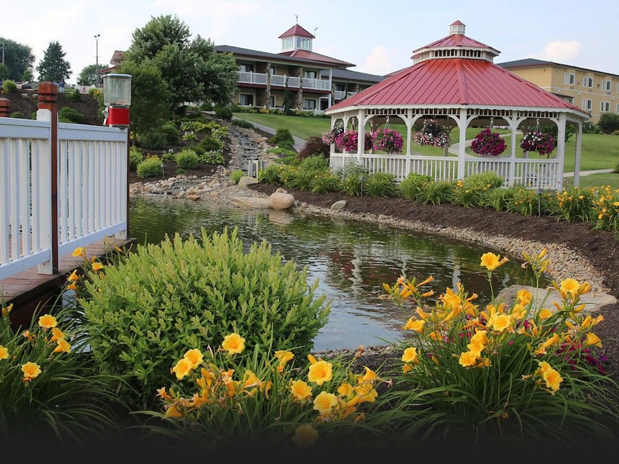 Vista desde la propiedad