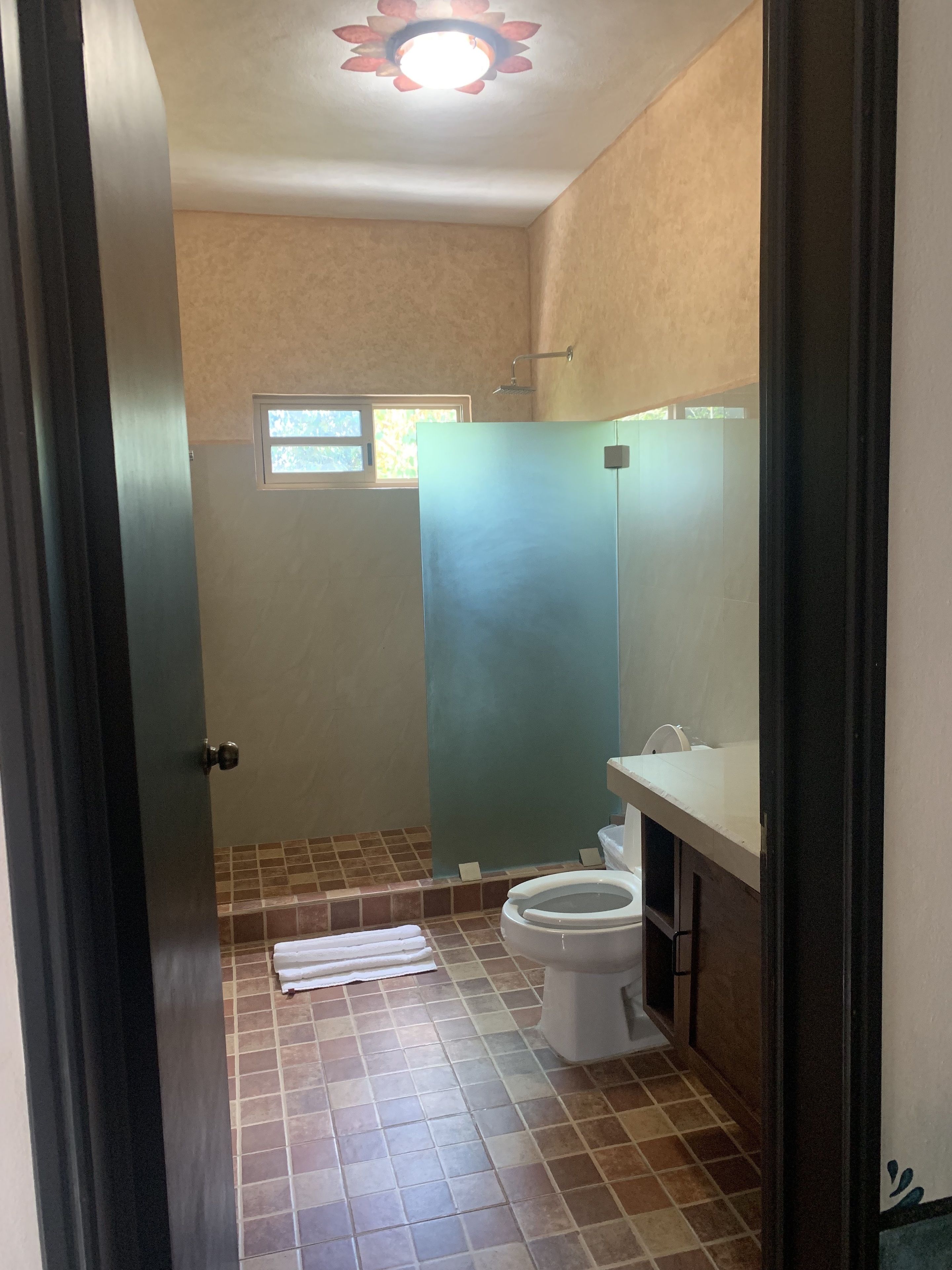 A bathroom with a toilet, a shower, and a window.