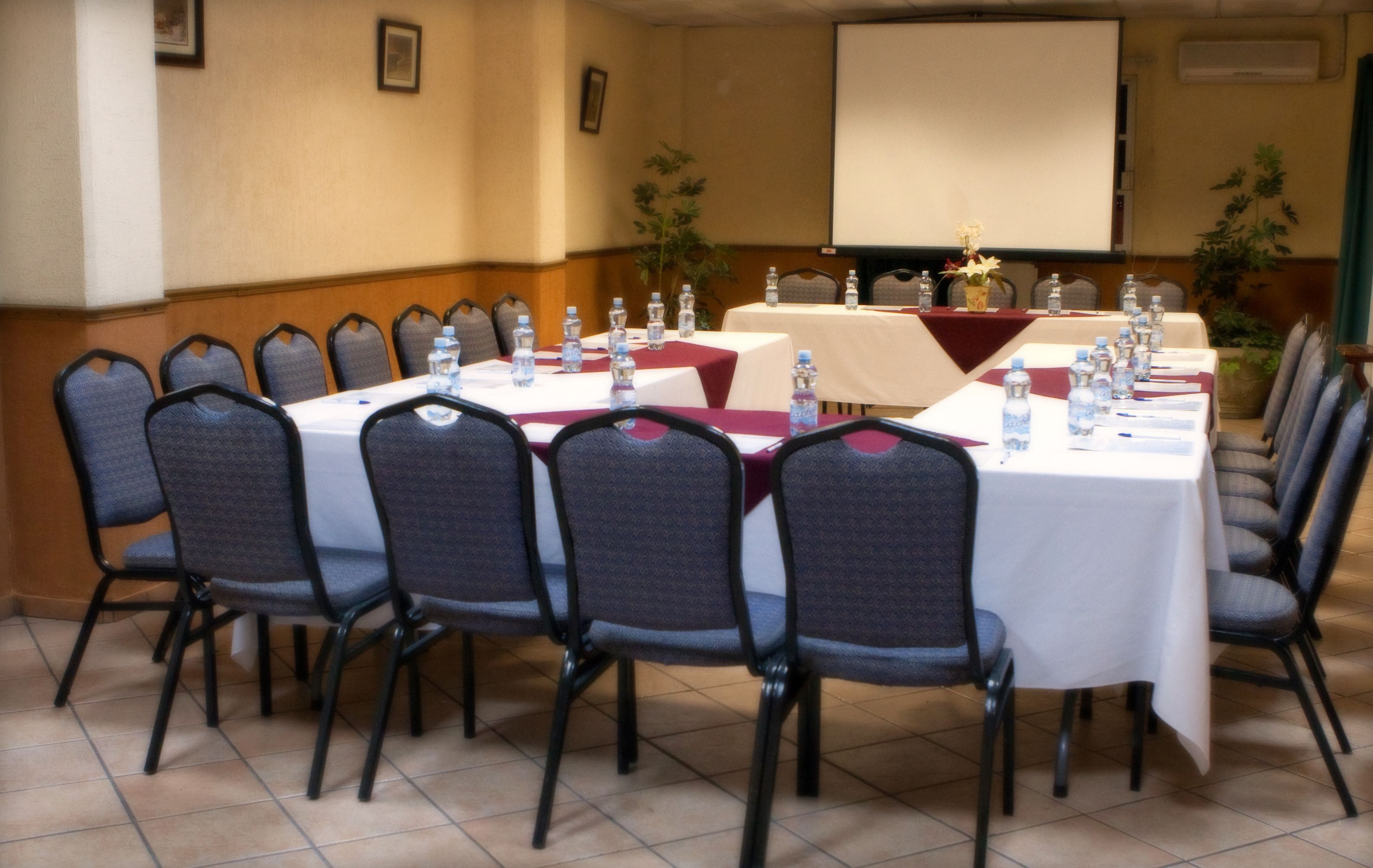 Foto - Hotel La Mansion Suiza