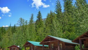Cabin | Free WiFi, bed sheets - Noah's Ark Resort (Revelstoke)