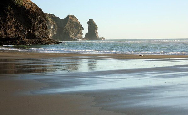 Beach - Maison de Rose (Auckland)