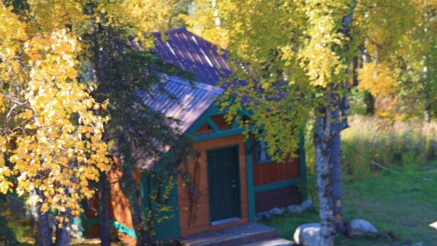 A small cabin with a green door and a brown roof, surrounded by trees with yellow leaves.