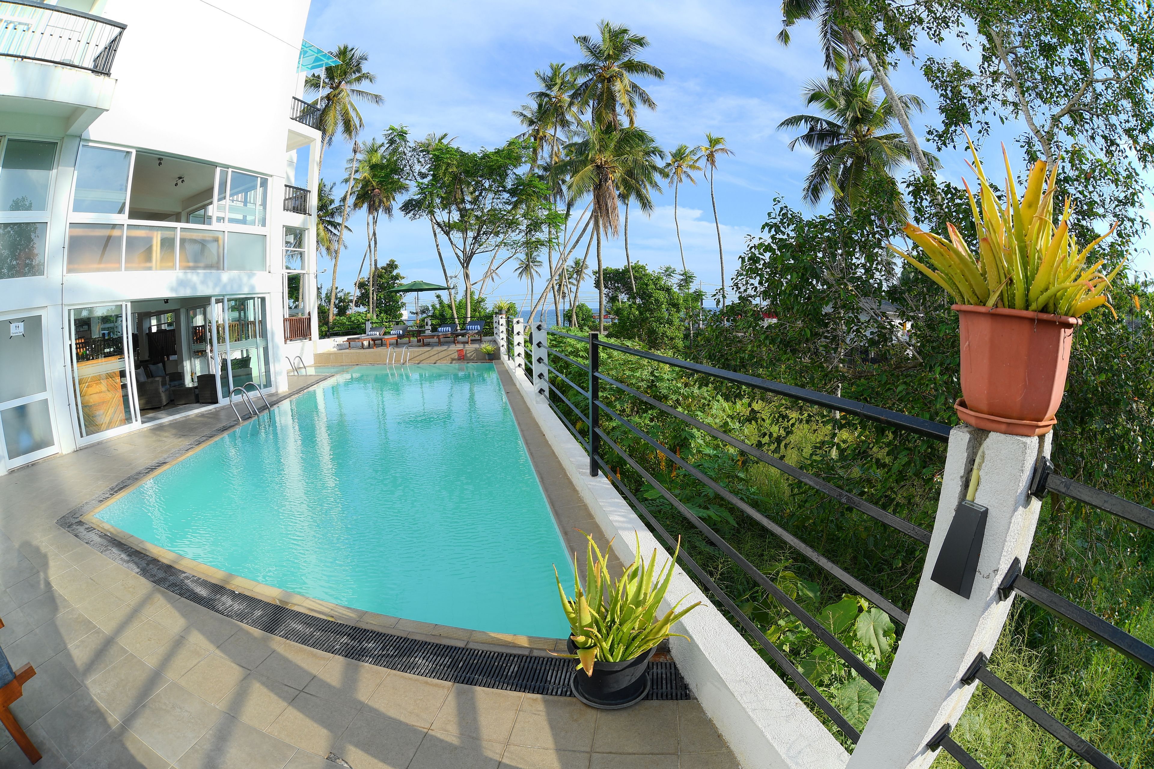 A pool area with a clear view of the pool, a potted plant, and a balcony railing.