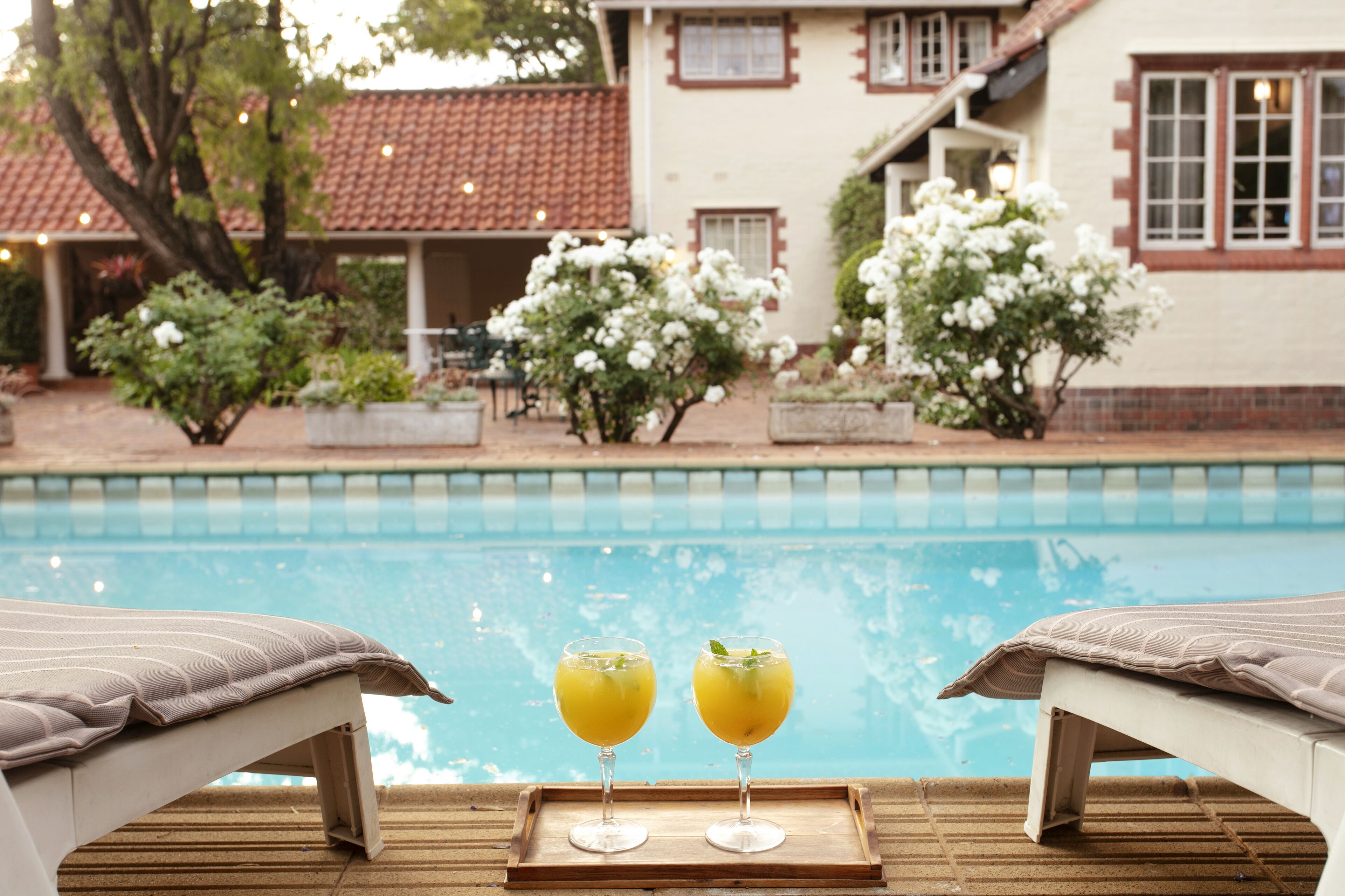 Outdoor pool, sun loungers