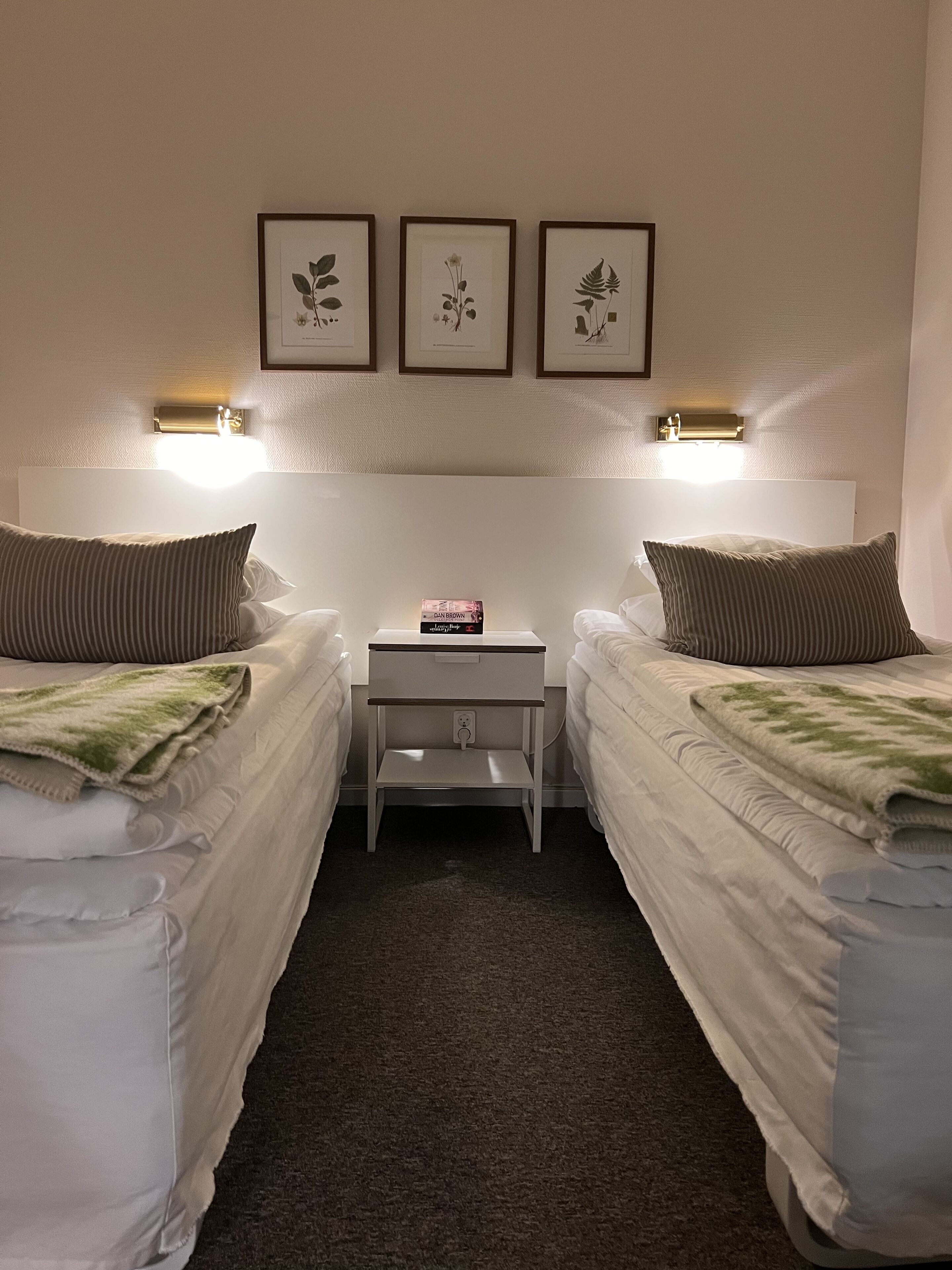 Una habitación de hotel con dos camas individuales, una mesita de noche pequeña y un estante fijado a la pared con impresiones botánicas enmarcadas.