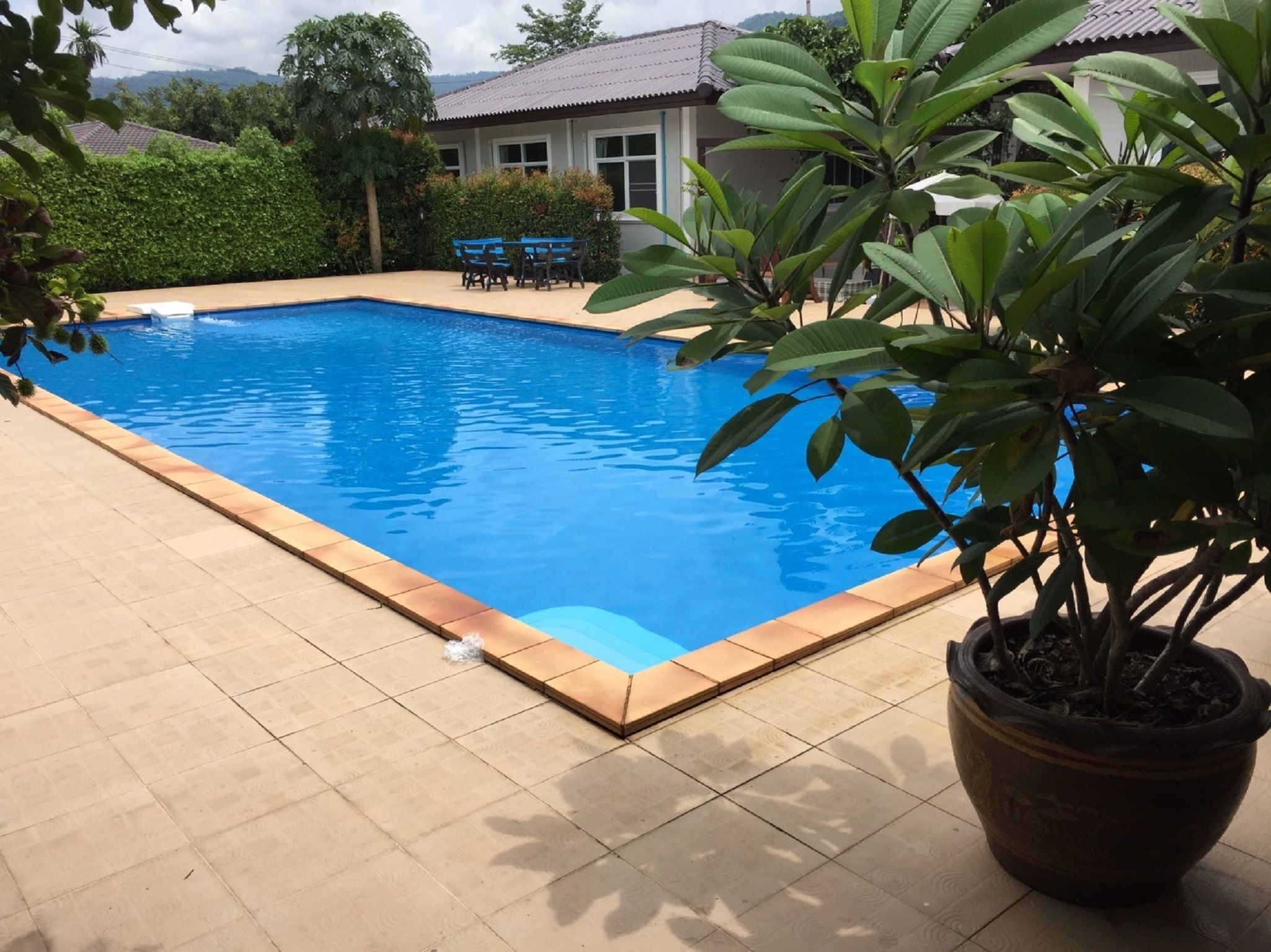 Family Room, Pool View | View from room