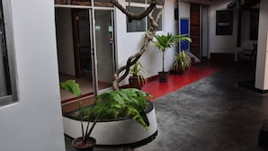 Un pasillo con plantas en macetas, alfombra roja y un letrero que indica un baño.