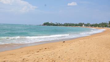 Plage, plongée sous-marine, bar de plage