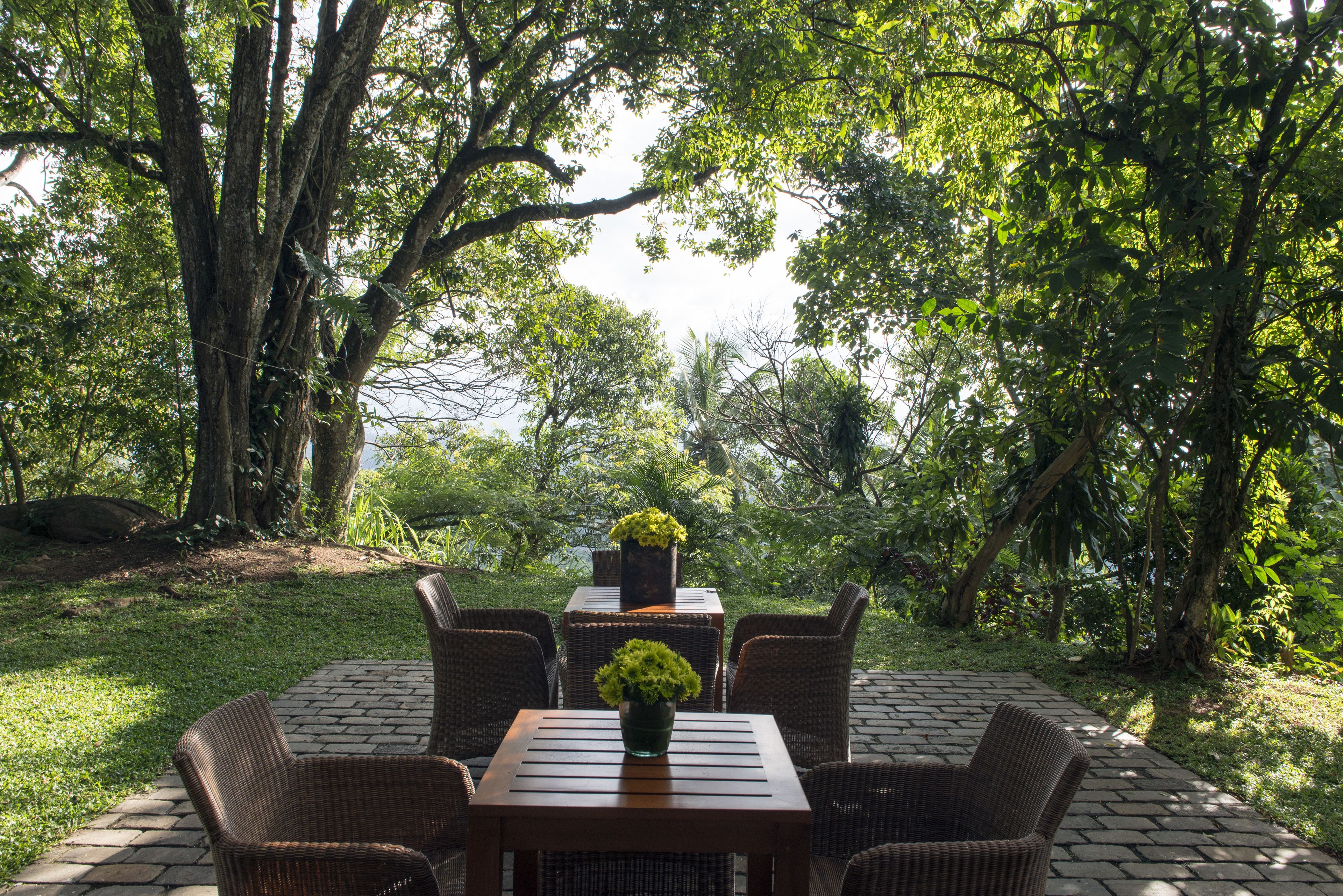 Um pátio externo com mobiliário de vime e uma mesa, rodeado por vegetação exuberante e árvores.