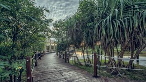 Unclassified image, 3 of 58, button