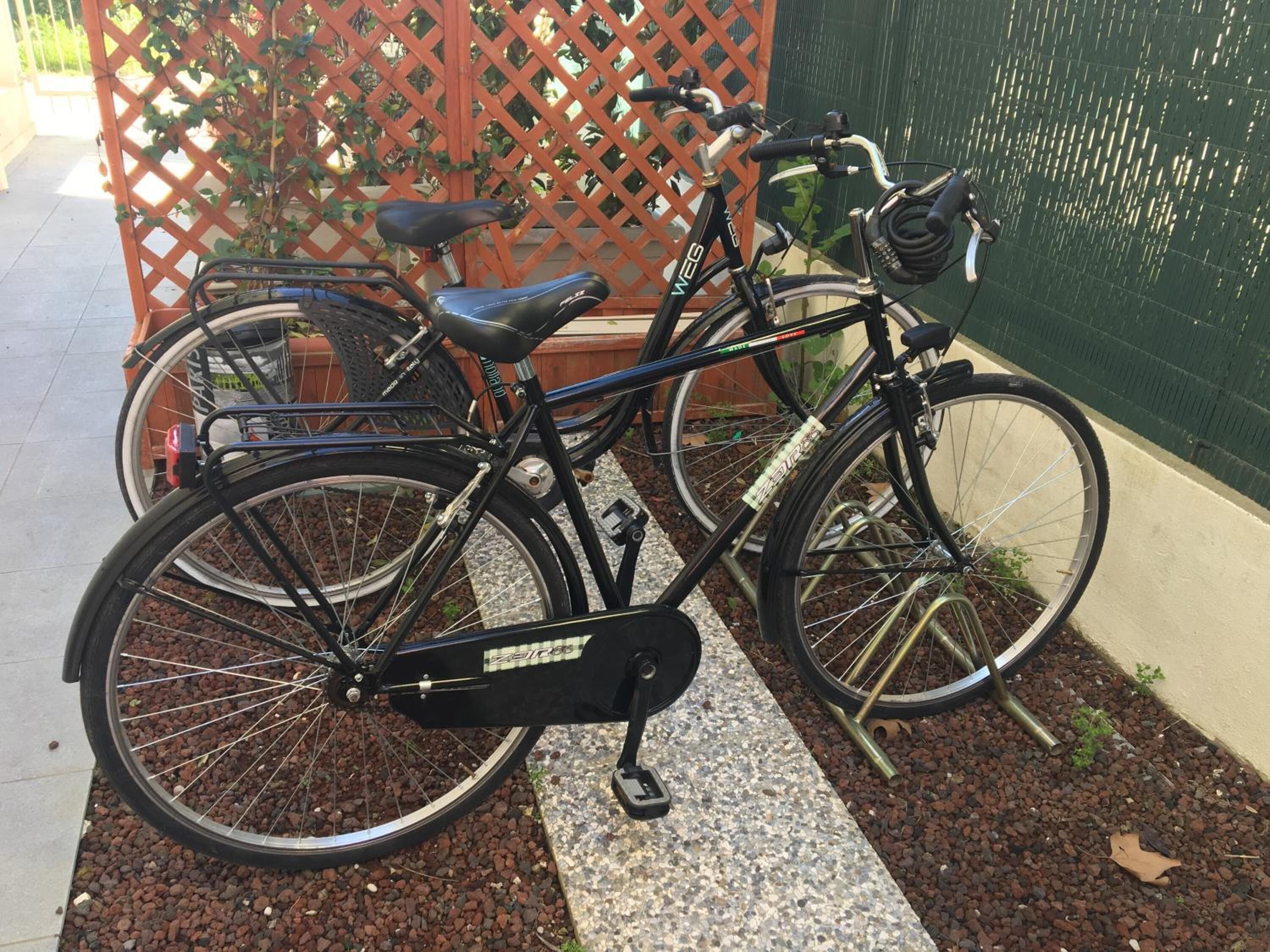 Photo - Villa Venice Movie