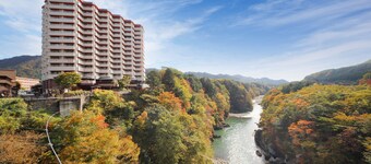 Hotel Sunshine Kinugawa