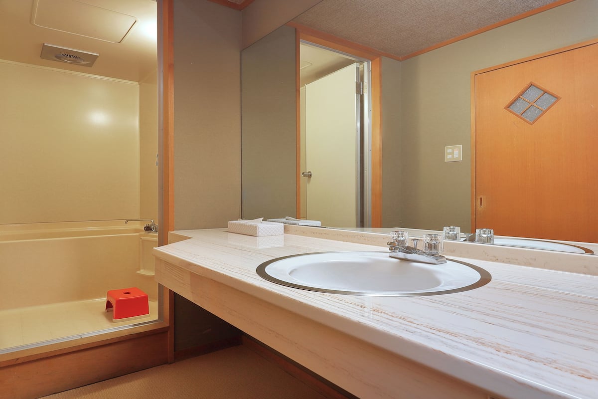standard room (japanese-style) | bathroom | hair dryer, slippers, electronic bidet, towels