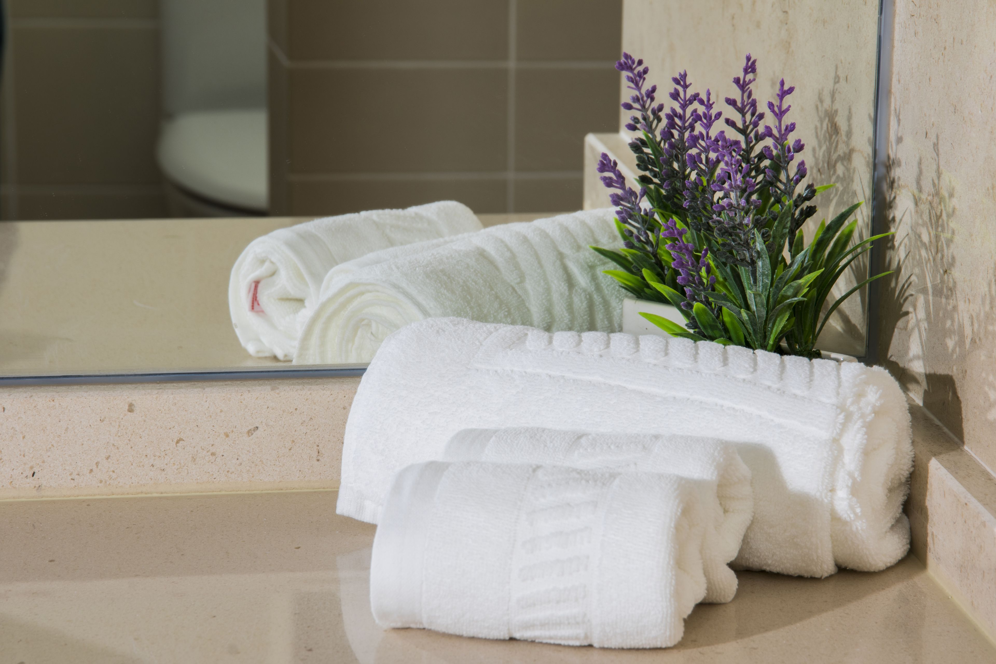 junior suite | bathroom amenities | combined shower/bathtub, deep-soaking bathtub, rainfall showerhead