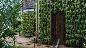 A wooden deck with a metal railing, surrounded by lush green plants and a vertical garden wall. - Bangkok Tree House (Phra Pradaeng)