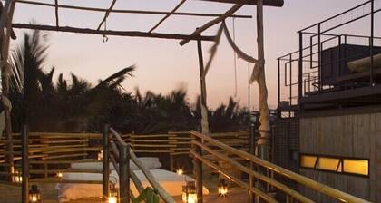 Bangkok Tree House