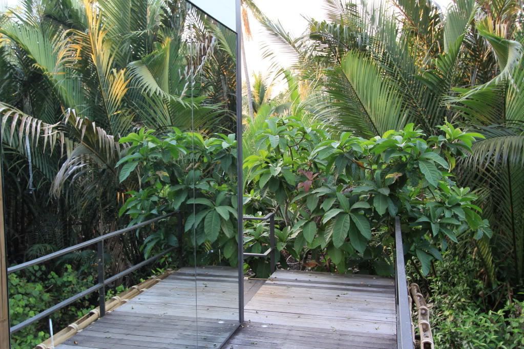 Une terrasse en bois avec des rampes en métal, entourée d’une végétation tropicale luxuriante.