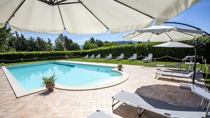 Outdoor pool, sun loungers