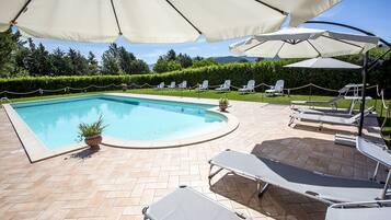 Outdoor pool, sun loungers