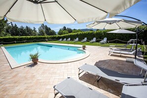 Outdoor pool, sun loungers