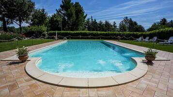 Outdoor pool, sun loungers