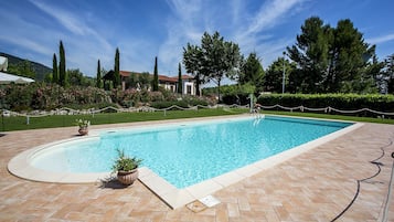 Outdoor pool, sun loungers