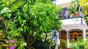 Un edificio de dos plantas con un patio ajardinado, rodeado de abundante follaje y plantas en macetas.