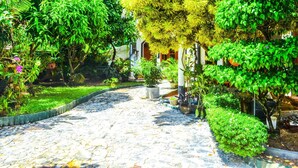 Un sendero adoquinado en un exuberante jardín con diversas plantas y árboles.