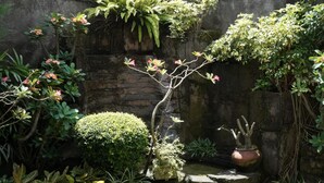 Un jardín con diversas plantas y un pequeño elemento acuático.