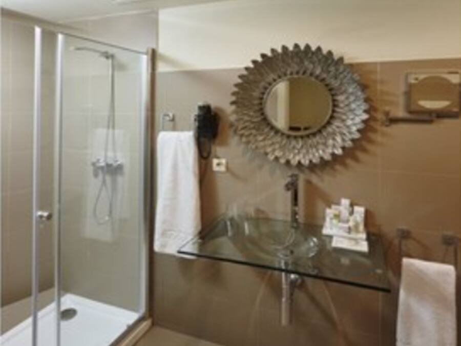 A bathroom with a glass shower enclosure, a glass sink, and a large decorative mirror.