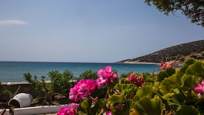 A coastal view with a clear sky, a sandy beach, and pink flowers in the foreground. - Pension Ageliki (Sifnos)