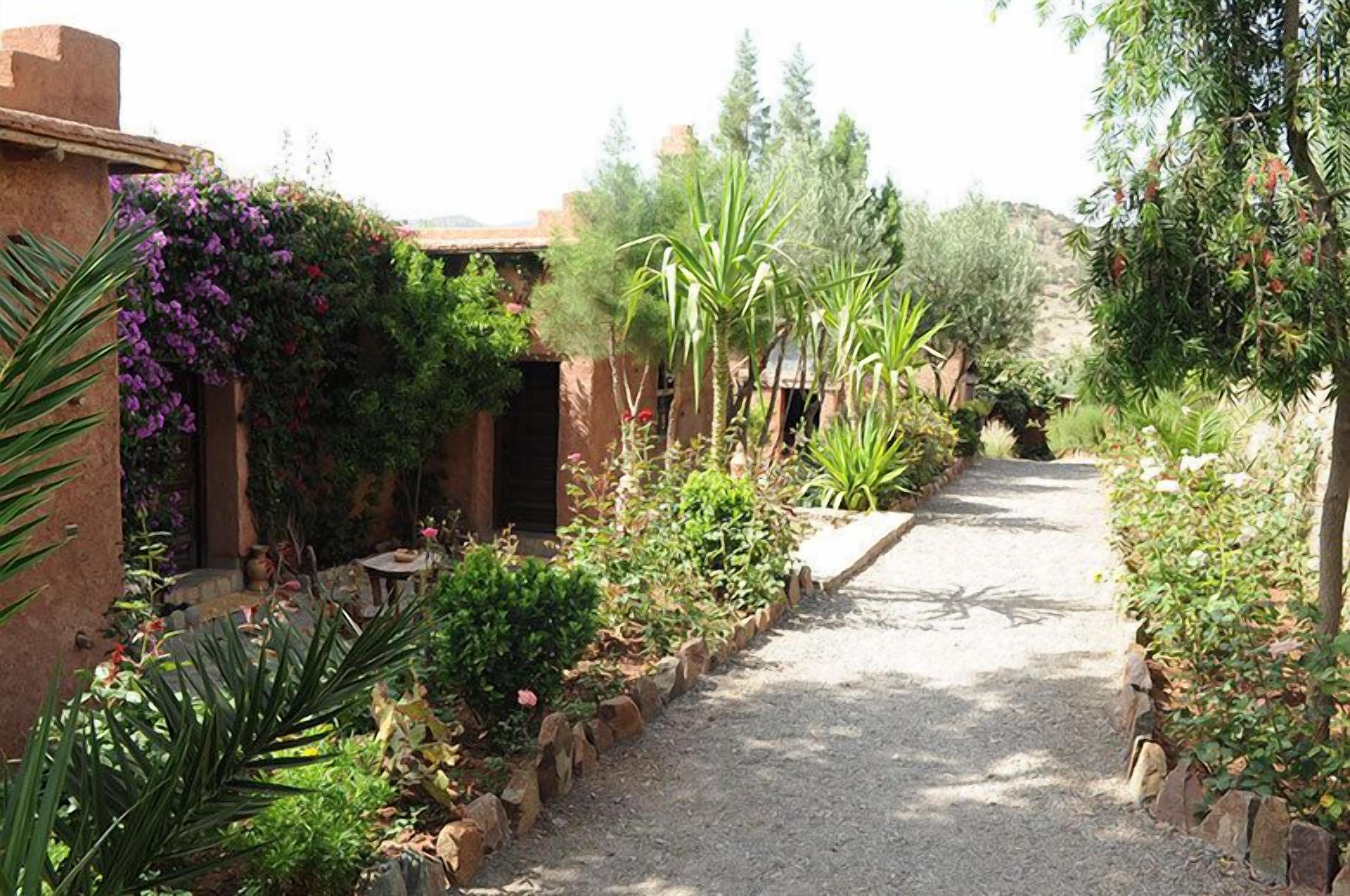 Un sendero en un jardín con un edificio rústico a la izquierda, rodeado de diversas plantas y árboles.