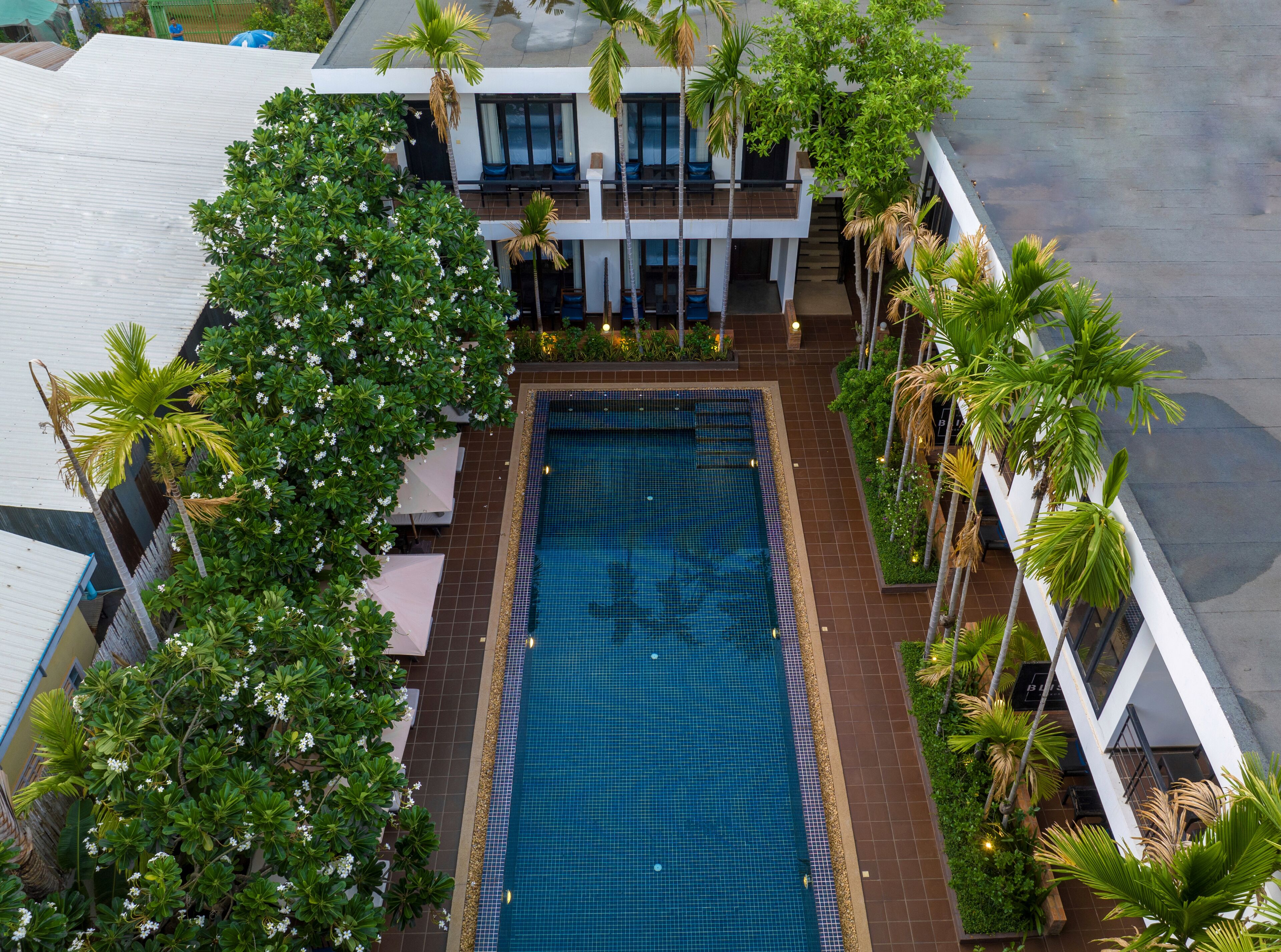 A rectangular swimming pool surrounded by lush greenery and modern architecture.