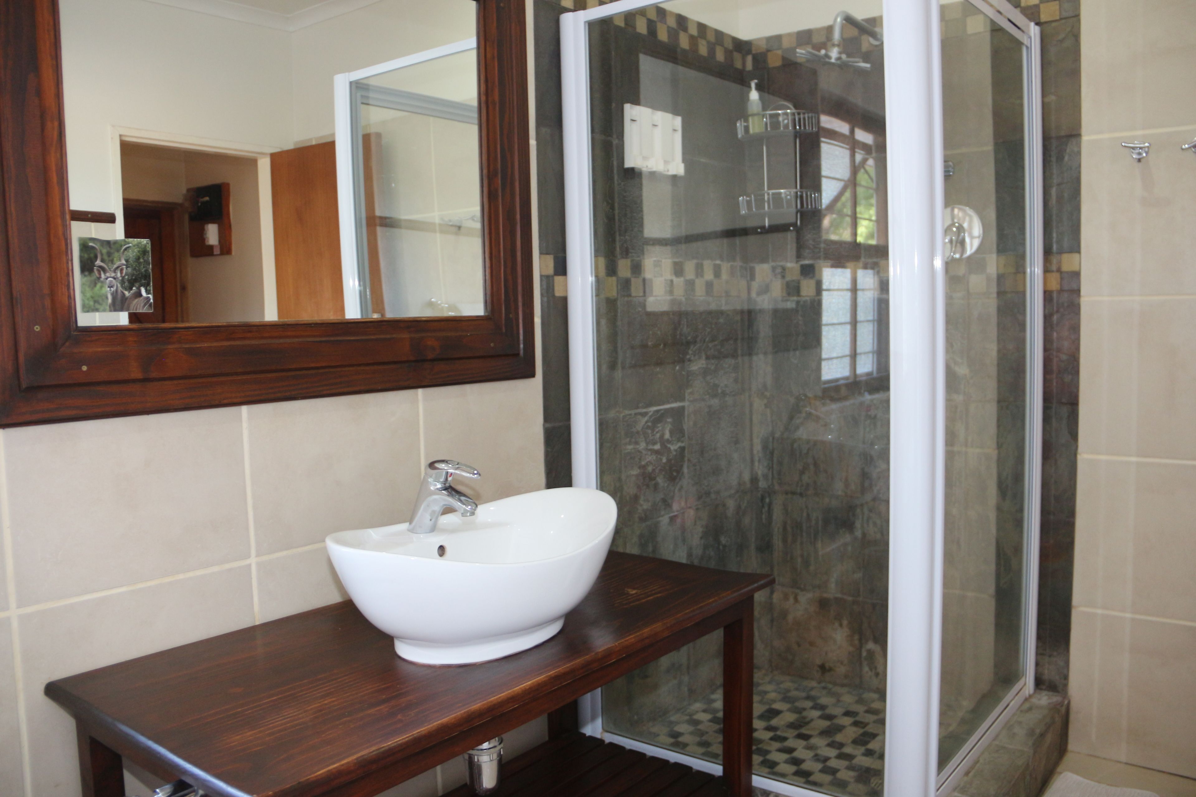 Habitación familiar | Ducha del cuarto de baño